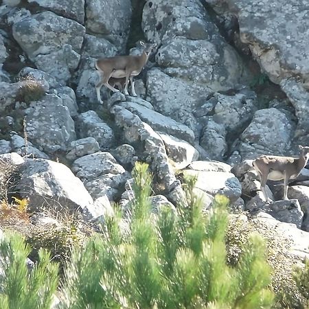 Manderley-Case Sul Mare Santa Caterina Di Pittinuri  Exteriör bild