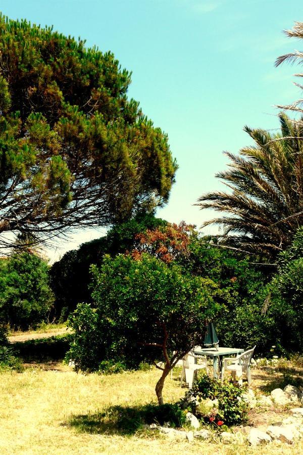 Manderley-Case Sul Mare Santa Caterina Di Pittinuri  Exteriör bild