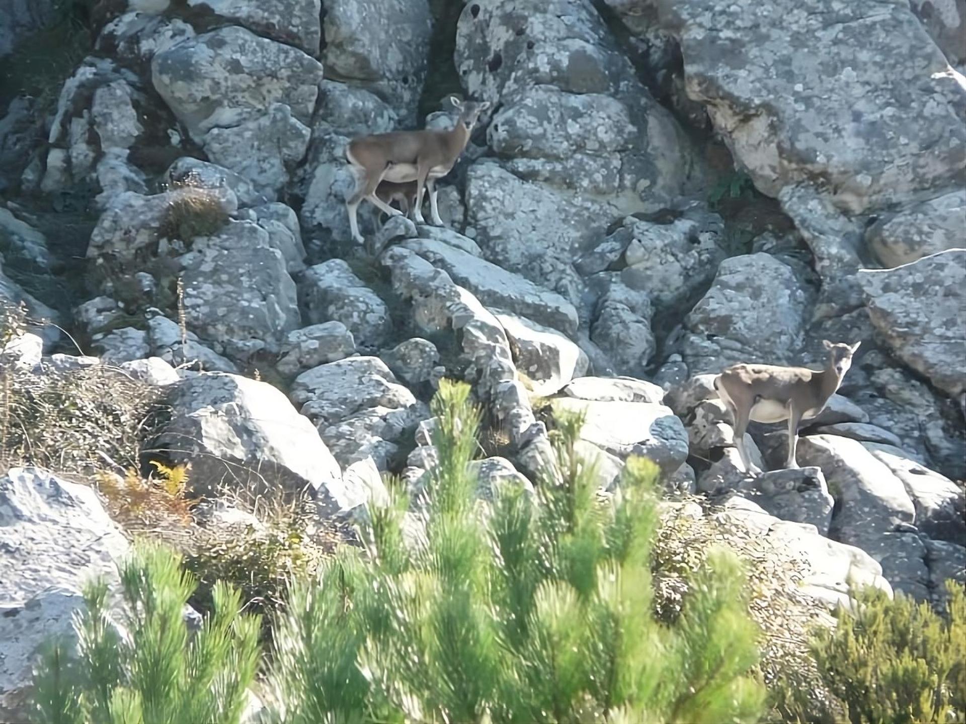 Manderley-Case Sul Mare Santa Caterina Di Pittinuri  Exteriör bild
